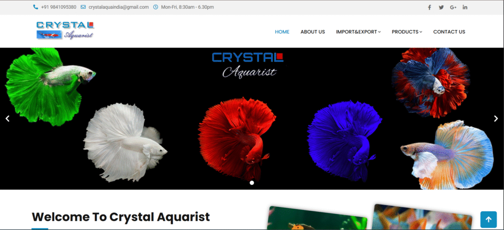 CrystalaQuarist
