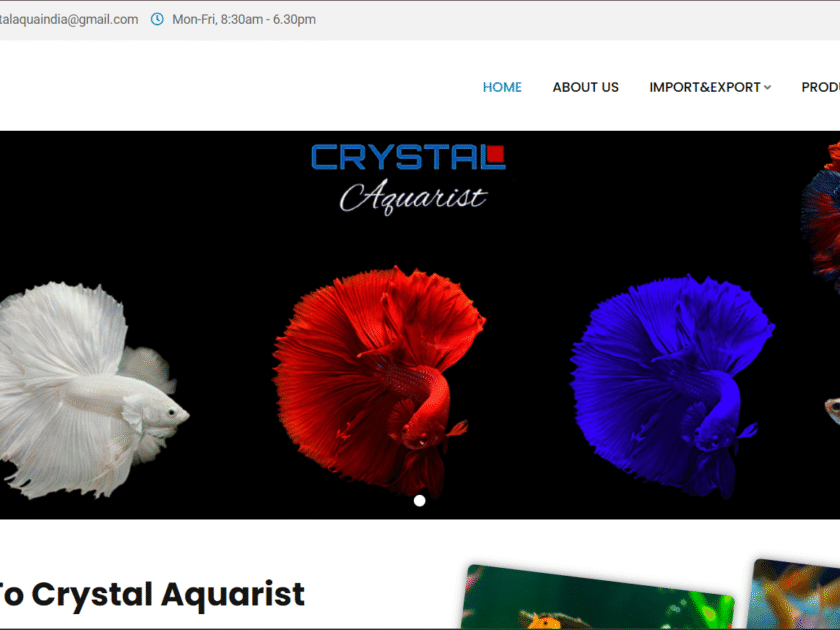 CrystalaQuarist